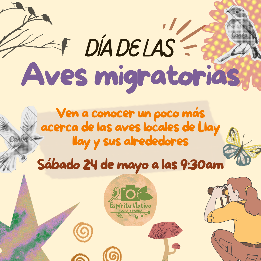 Foto de evento Pajareando por Llayllay