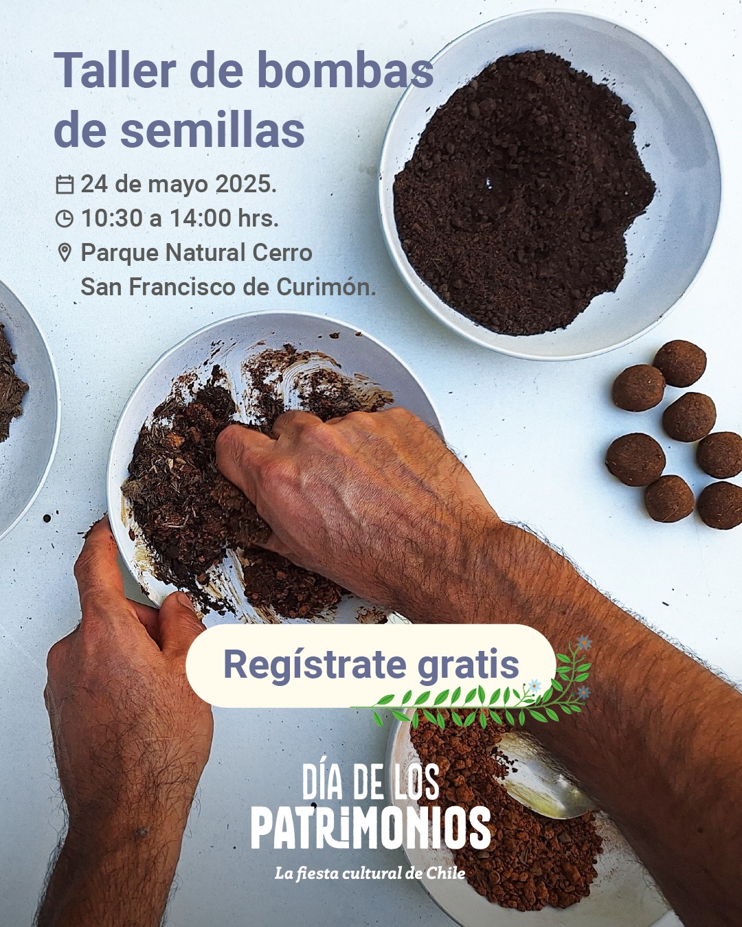 Foto de evento Taller de bombas de semillas