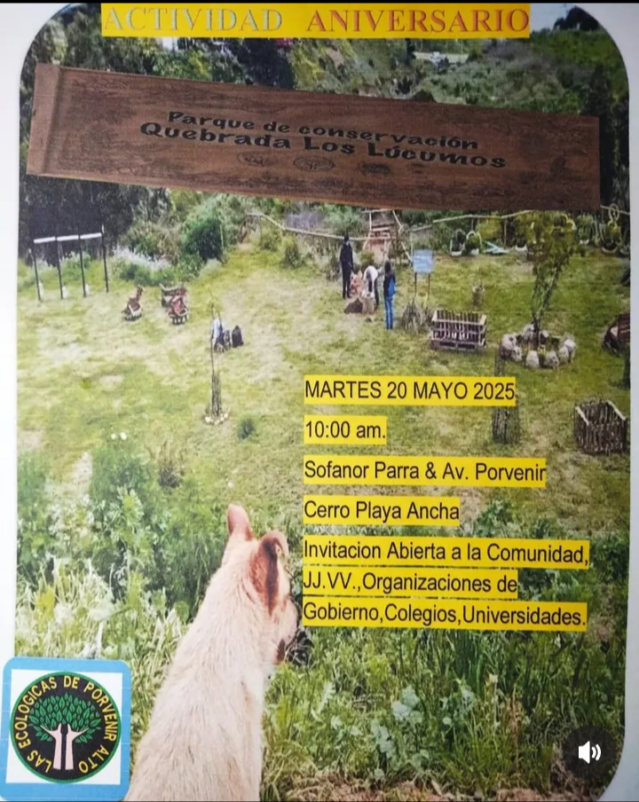Foto de evento Actividad aniversario