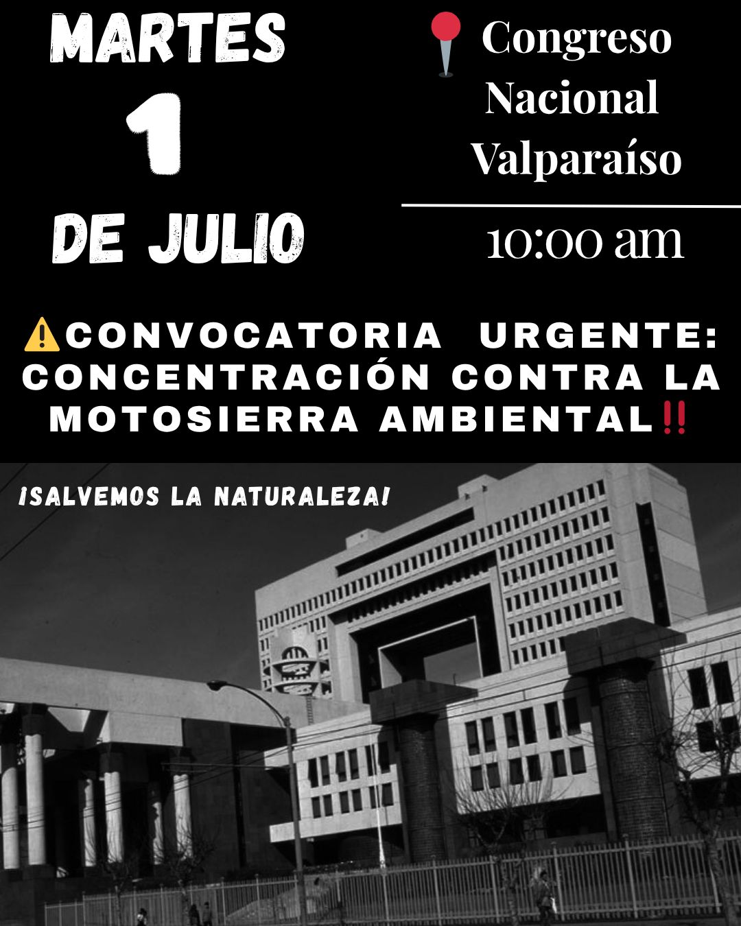 Foto de evento Concentración contra la motosierra ambiental