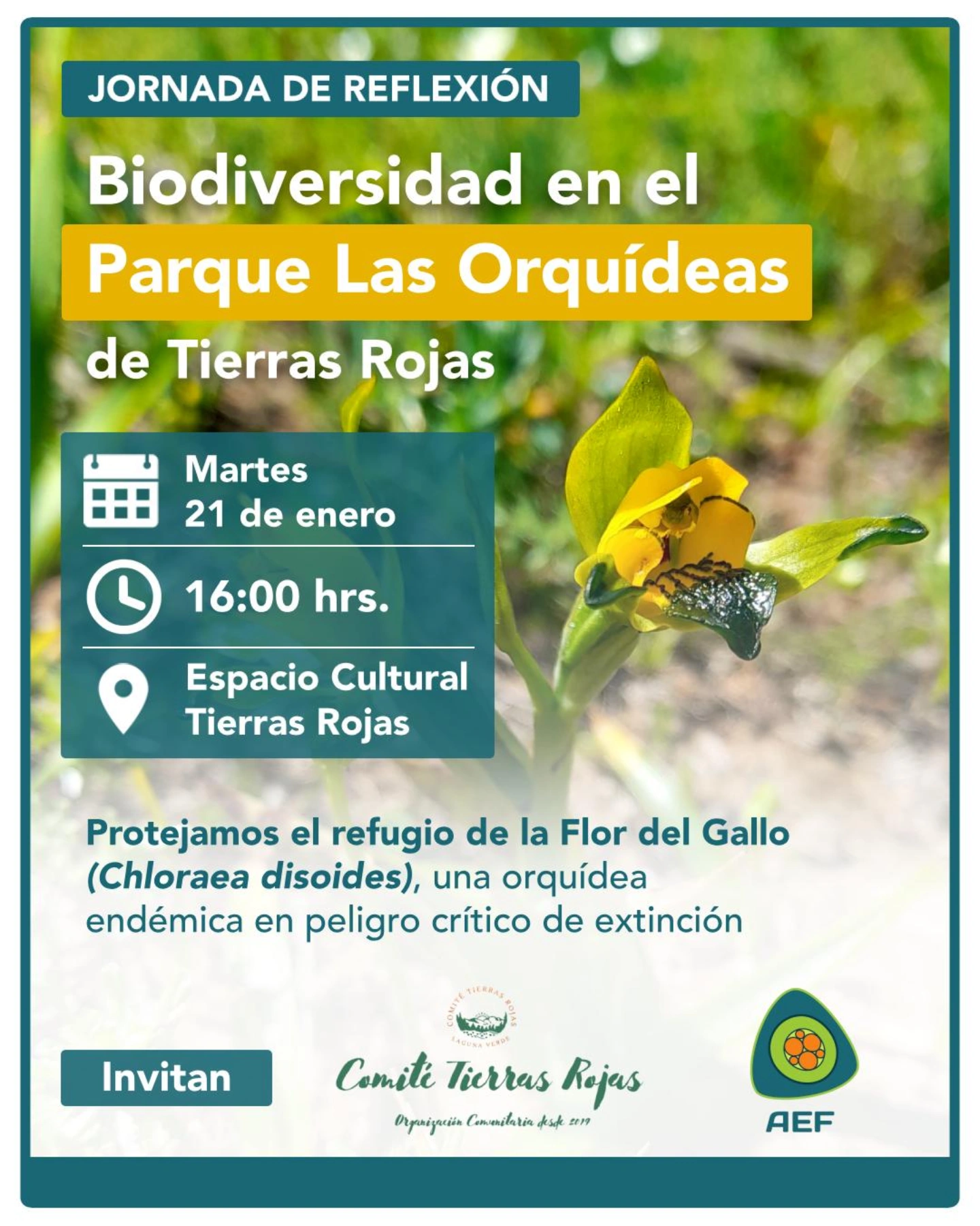 Foto de evento Biodiversidad en el Parque de las Orquídeas