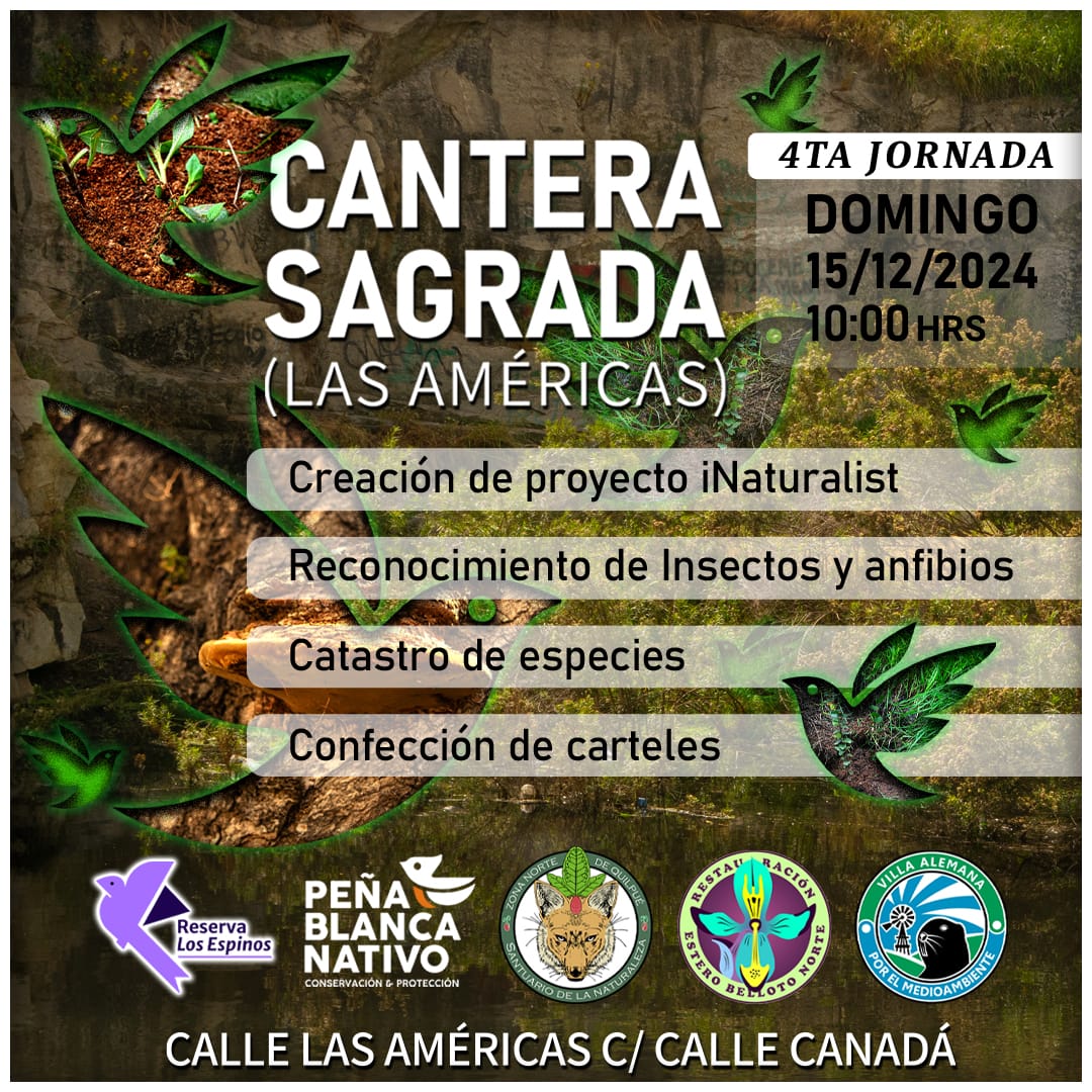 Foto de evento Cuarta jornada: Cantera Sagrada.