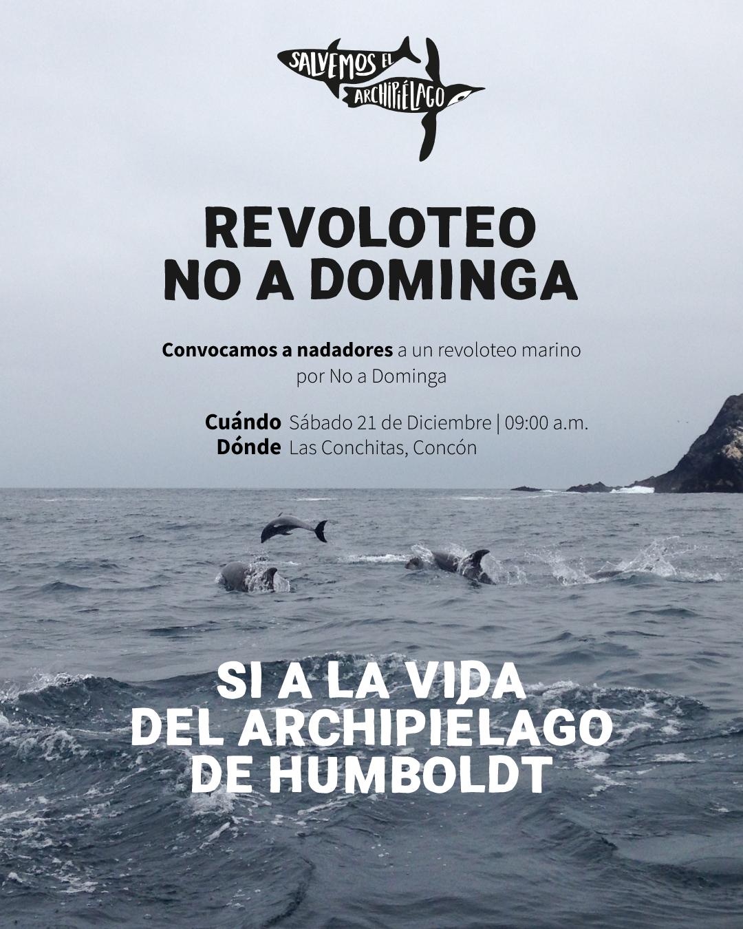 Foto de evento Revoloteo no a Dominga