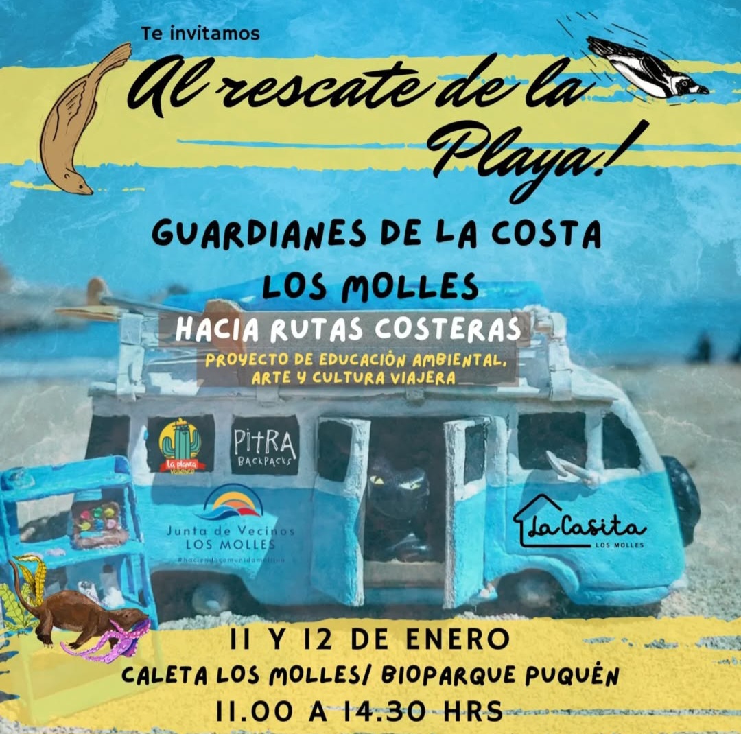 Foto de evento Al rescate de la playa: Los Molles