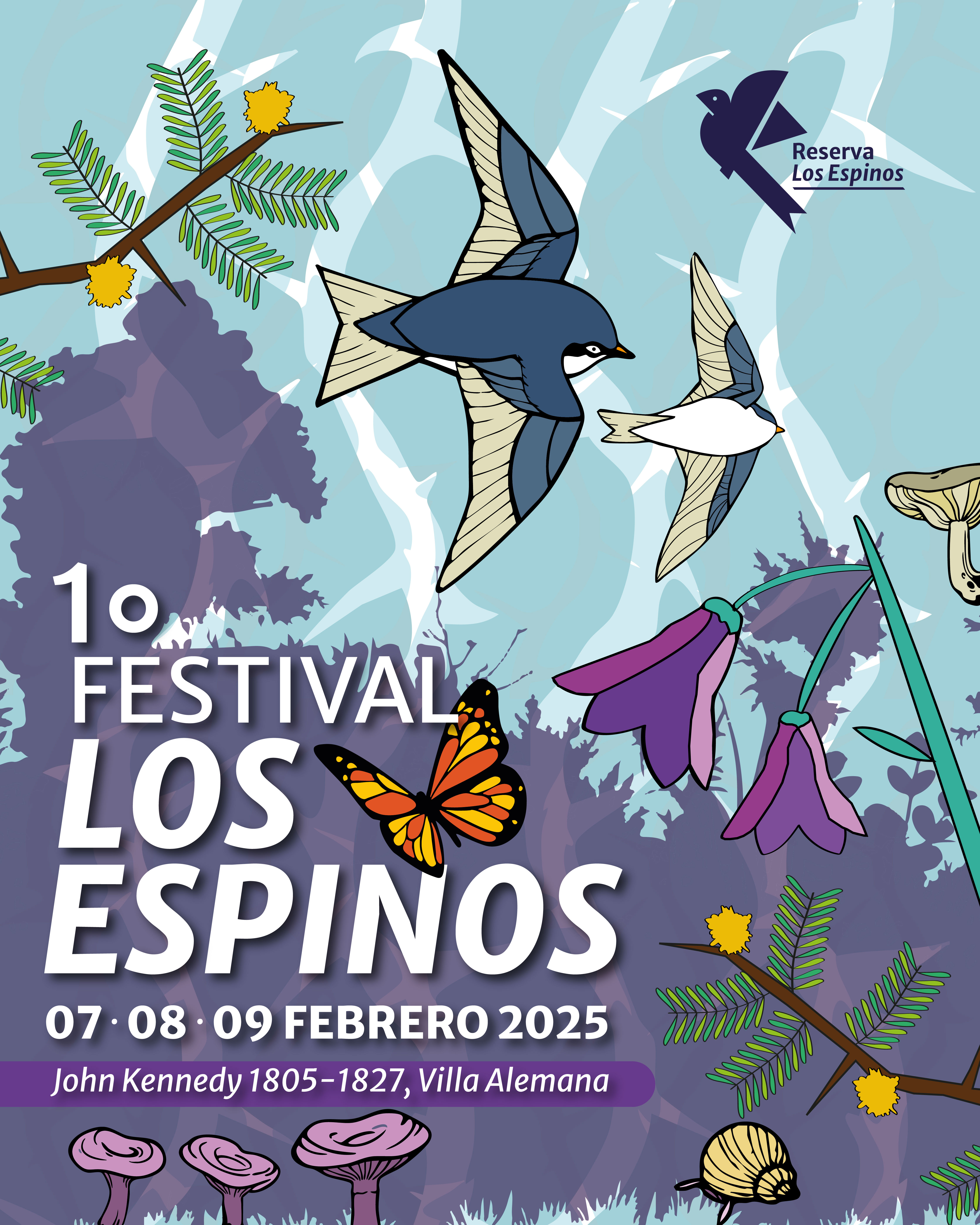 Foto de evento 1° Festival Los Espinos