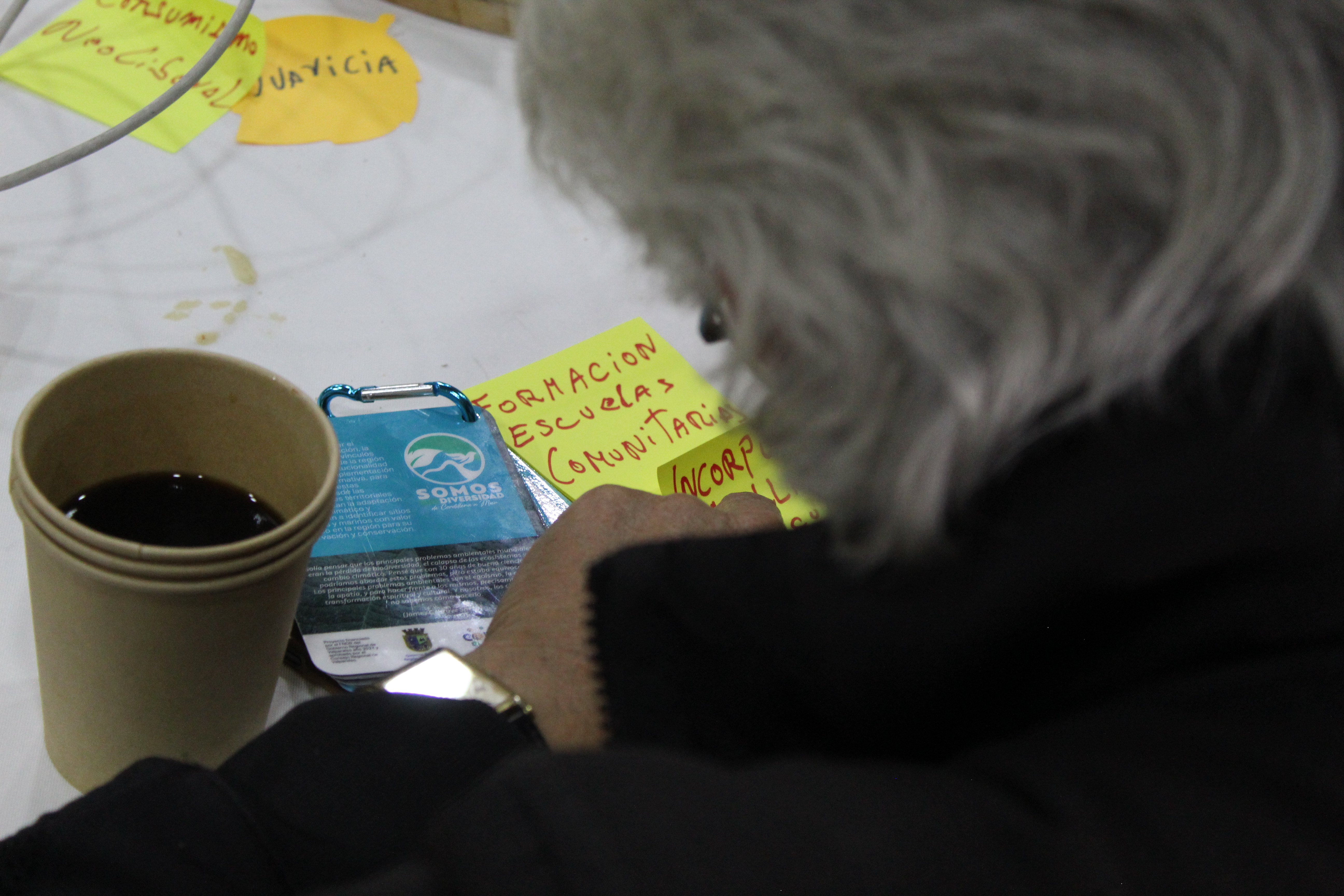 Imagen de evento Ley de Transparencia 20.285 y Ley de Lobby 20.730