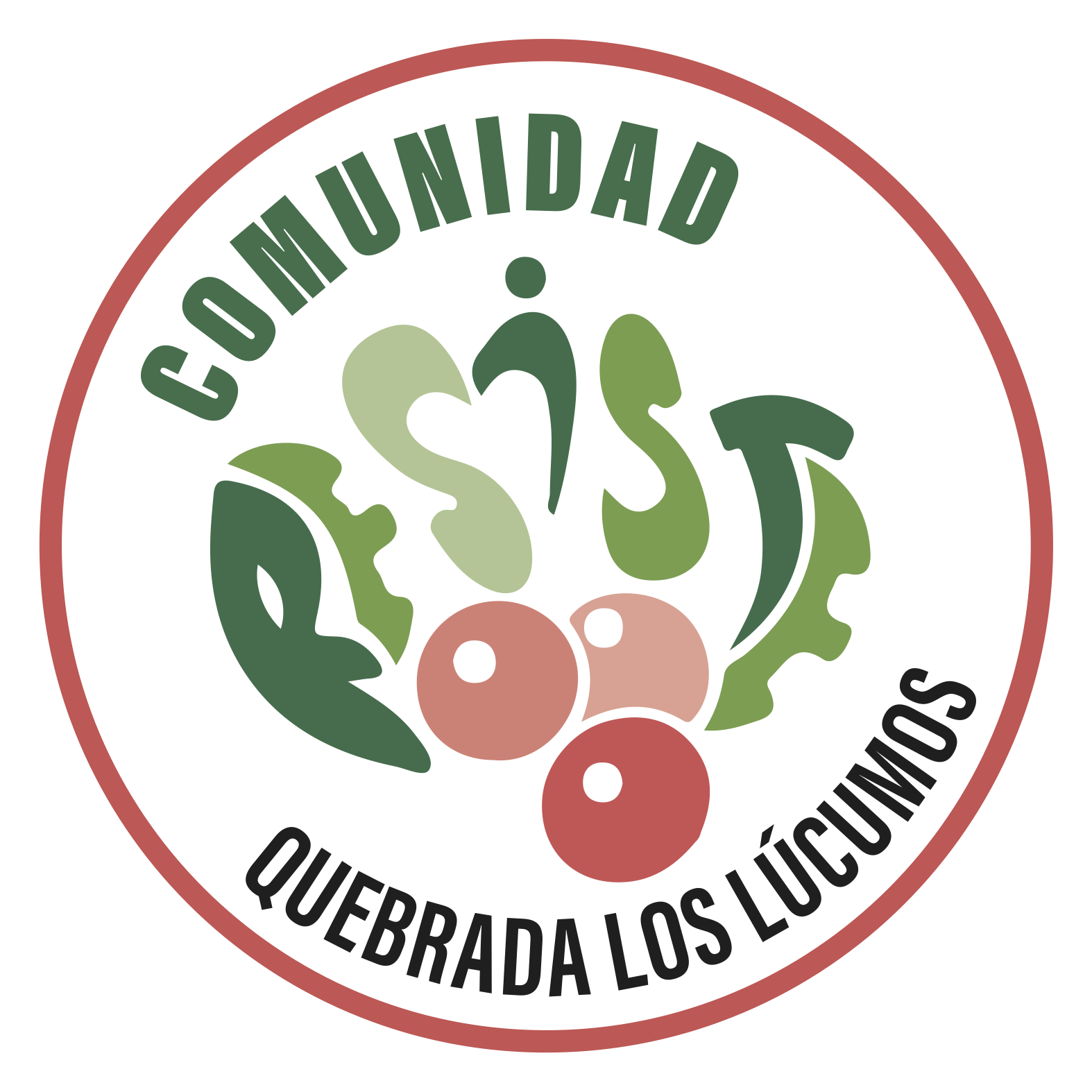 logo Comunidad Quebrada los Lúcumos
